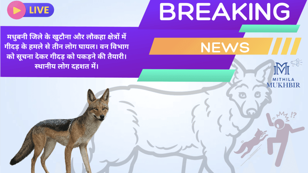 मधुबनी के खुटौना में गीदड़ का आतंक 