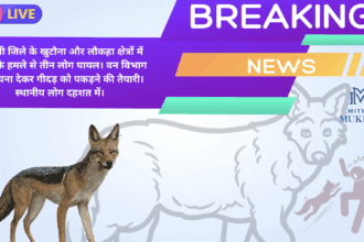 मधुबनी जिले के खुटौना क्षेत्र में गीदड़ का आतंक, कई लोग घायल