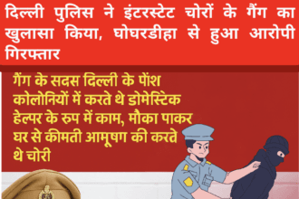दिल्ली पुलिस ने इंटरस्टेट चोरों के गैंग का खुलासा किया, घोघरडीहा से हुआ आरोपी गिरफ्तार