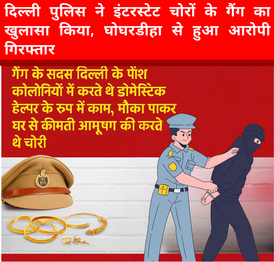 दिल्ली पुलिस ने इंटरस्टेट चोरों के गैंग का खुलासा किया,  घोघरडीहा  से हुआ आरोपी गिरफ्तार