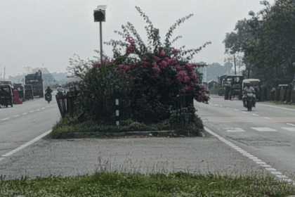 खोपा चौक के पास एनएच-27 पर झाड़ियों की अनदेखी से दुर्घटना की आशंका बढ़ी,प्रशासन इस पर तुरंत संज्ञान ले